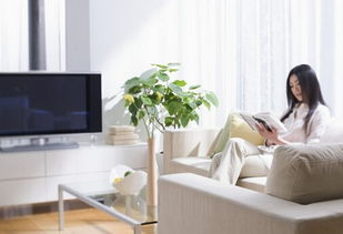 家庭風水布局如何看,家庭布局的風水