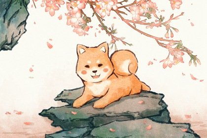 2022犯星煞的屬相是什麼,2022年犯太歲的生肖有哪些?