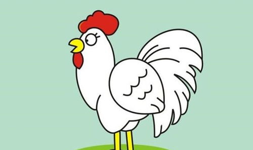 婚姻屬相不合怎麼辦,生肖不和的婚姻如何化解