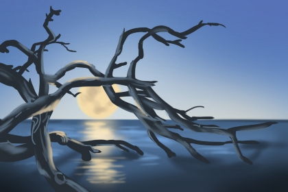 為什麼羊的本命佛是大日如來,屬羊的本命佛大日如來是指如來佛?