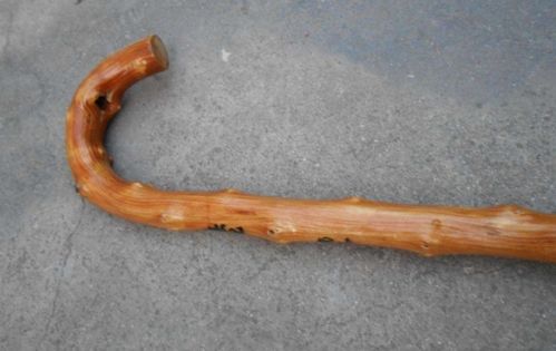 桑拓木命代表什麼,桑柘木命是什麼意思