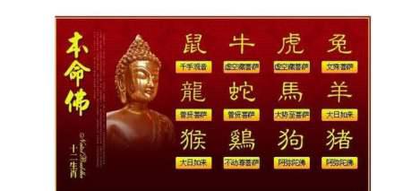 本命佛能放隨身包中嗎,本命佛放在隨時帶在身上的包里可以嗎