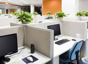 辦公桌擺放風水禁忌,辦公桌擺放風水注意事項,有什麼禁忌