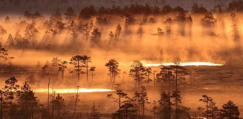 大器晚成的意思,成語大器晚成的意思