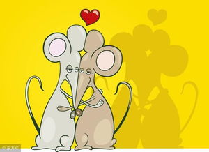 金貓撲鼠風水布局,金蟾蜍合適在什麼時候擺放