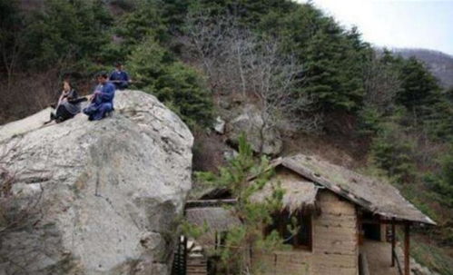 金命仙命能坐什麼山向,屬牛虎年運程