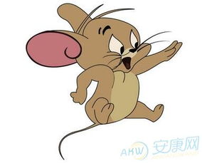 屬鼠的和那些屬相相配,屬鼠的和什麼屬相最配和相剋?