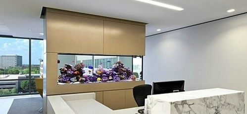 辦公室風水魚缸布局,辦公室魚缸擺放位置有哪些講究呢?
