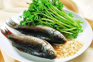 鯽魚不能和什麼一起吃,什麼不能和帶魚一起吃?