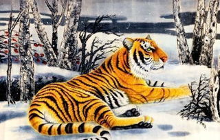 36歲本命屬虎戴什麼顏色繩,屬虎的本命年戴什麼?