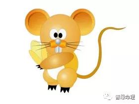 屬鼠得和什麼屬相不和,鼠跟什麼屬相不合