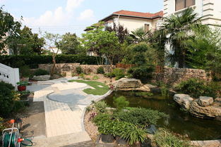 庭院種樹6大風水禁忌,庭院種植大樹風水禁忌,庭院為什麼不能種植大樹搜狗問問