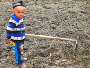 本命夢見別人鋤地,夢見在地里鋤地