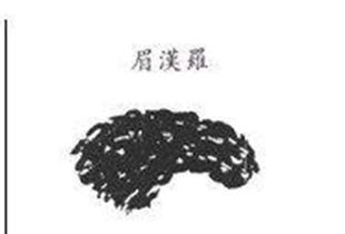 刑傷是什麼意思,八字里有邢傷是什麼意思