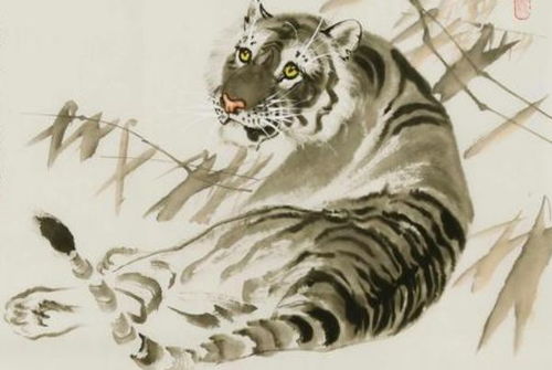 怎麼改變本命屬虎運氣,虎年本命年怎樣轉運最好