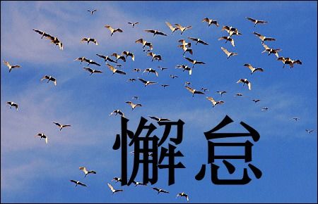 懈是什麼意思,懈是什麼意思