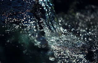 泉中水女命是什麼意思,甲子納音泉中水是什麼意思