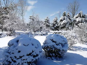 春天下雪好嗎,春天下雪好嗎?