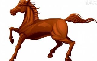 屬相男蛇女馬婚姻狀況,男蛇女馬婚姻怎麼樣