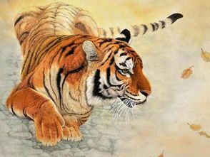 屬虎本命適合戴珍珠,屬虎本命年戴什麼生肖的金飾品好?