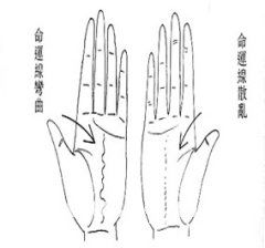 手相看命面相看什麼,看手相是什麼命