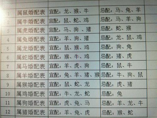 84屬鼠男屬相婚配表,84年屬鼠和什麼屬相最配