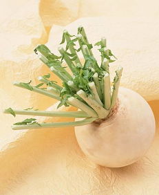 吃蘿卜的好處與功效,吃蘿卜的好處是什麼