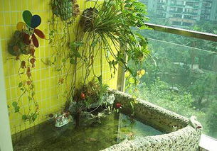 小區水池風水布局,怎樣布置庭院水池風水