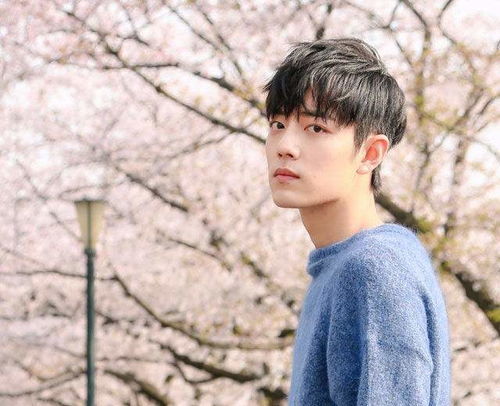 肖戰多少歲了,演員肖戰多少歲