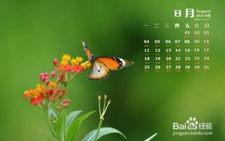 有些人為什麼生下來就命好,為什麼人生下來就已經註定一生的命運