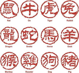 如何知道自己的屬相,如何才能知道自己的五行屬什麼呢?