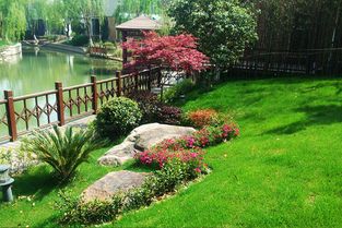 農村小花園風水禁忌,小花園布置風水禁忌有哪些