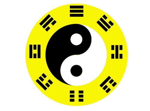 如何用植物布局風水五行陣,如何五行來布局辦公室植物擺放風水?