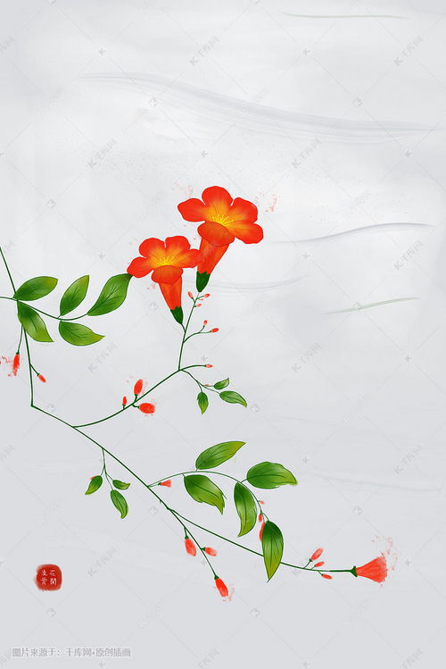 凌霄花的風水禁忌,養花也要講風水嗎