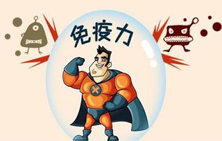 吃啥能提高人體的免疫力,吃什麼可以提高人體免疫力