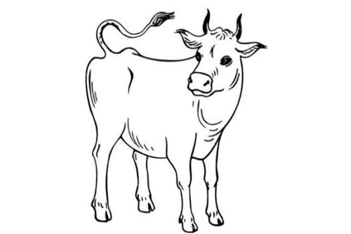 2021本命運勢屬牛85男,本命年(1985年10月12日的男性)運勢 愛情 事業 健康等情況是