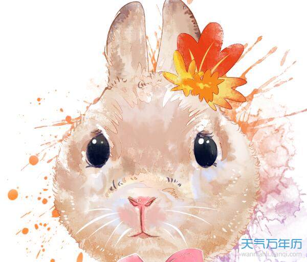 兔子的本命佛猴能配帶嗎,屬兔屬猴配嗎