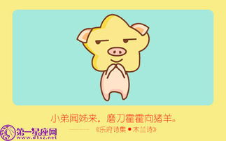 屬豬找什麼屬相好,屬豬的和什麼屬相最配