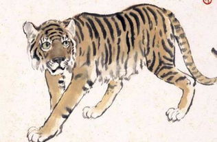 1998屬虎城牆土命本命,1998年城牆土命和什麼屬性配