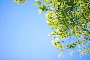 有什麼命花什麼錢,哪些八字的人一生不缺錢花
