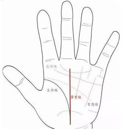 什麼樣的手紋命短,手相中生命線短的人就一定會命短嗎?