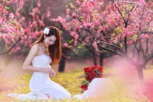 敗桃花的風水禁忌,如何避免敗桃花的風水