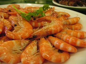 蝦吃什麼東西,蝦吃什麼