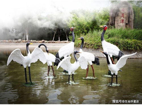 本命虎要穿什麼顏色的褲子,本命年虎年要穿紅色嗎