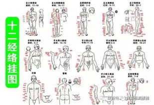 如何熟背12經絡,如何熟背語文課文