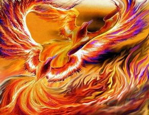 鳳凰是什麼意思,鳳凰代表什麼意思
