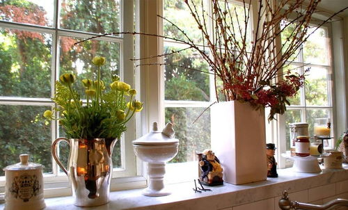 窗檯花盆風水布局,陽台花盆擺放風水有哪些講究?