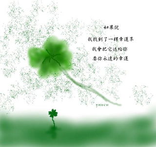 四葉草的風水禁忌,住宅植物風水擺放禁忌有哪些