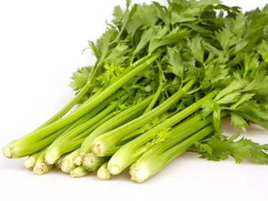 吃芹菜的好處和功效,吃芹菜有什麼好處和作用
