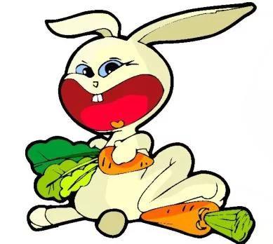 屬兔的跟什麼屬相和財,屬兔的和什麼屬相最配財運怎麼樣